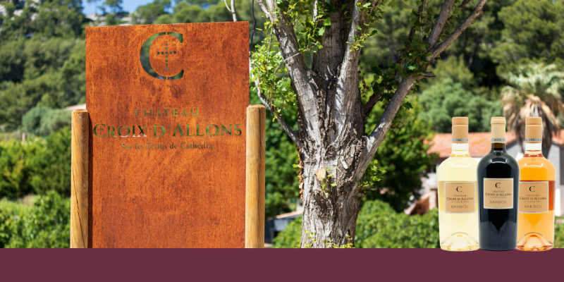 Ch&acirc;teau Croix d&rsquo;Allons : Une R&eacute;f&eacute;rence des Vins de Bandol